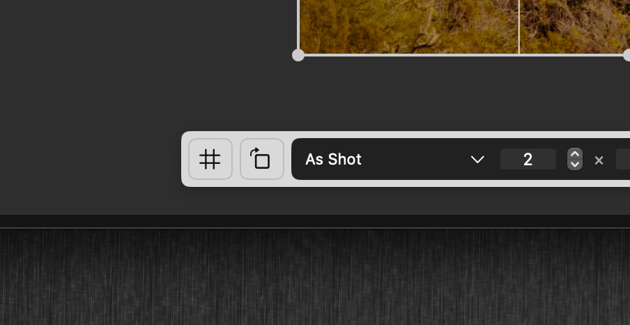Crop tool interface showing the orientation button for image rotation